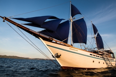 Samambaia Liveaboard fino a -20%