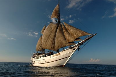 Ondina Liveaboard -20% Sconto