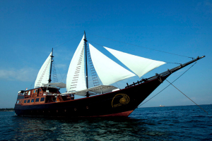 Samata Liveaboard | Cruising Indonesia | Gli Specialisti del Liveaboard e Viaggi Sub