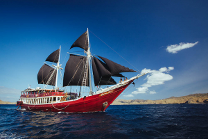 Seven Seas Liveaboard | Cruising Indonesia | Gli Specialisti del Liveaboard e Viaggi Sub