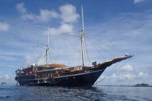 Dune Aurora | Cruising Indonesia | Gli Specialisti del Liveaboard e Viaggi Sub