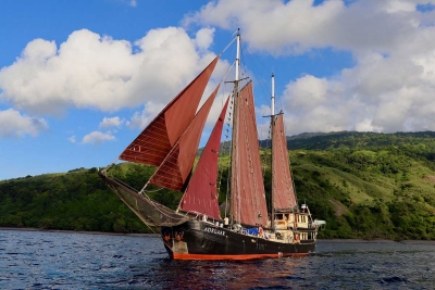 Adelaar Liveaboard 40% Off!