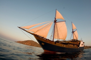 Dive Damai | Cruising Indonesia | Gli Specialisti del Liveaboard e Viaggi Sub