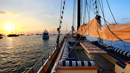 Adelaar liveaboard exclusive cruises in Indonesia