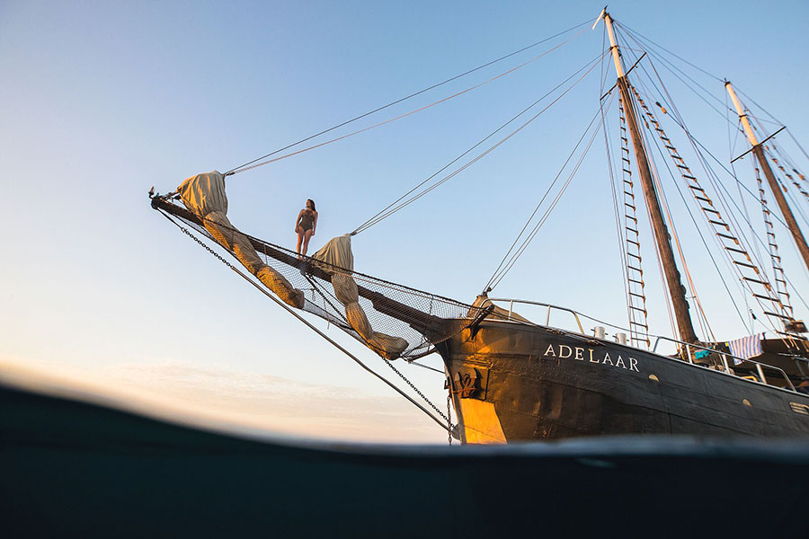 Adelaar liveaboard exclusive cruises in Indonesia