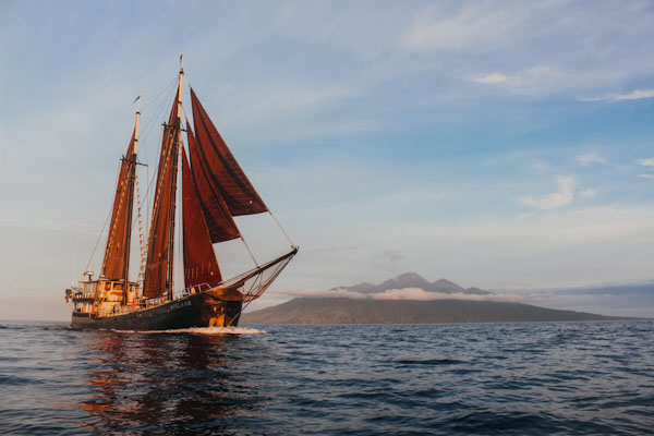 Adelaar liveaboard exclusive cruises in Indonesia