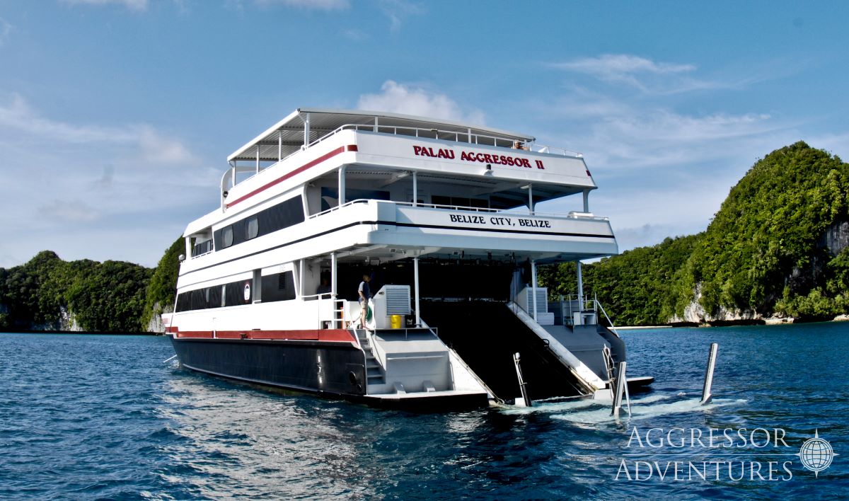 Cruises for scuba divers in Palau