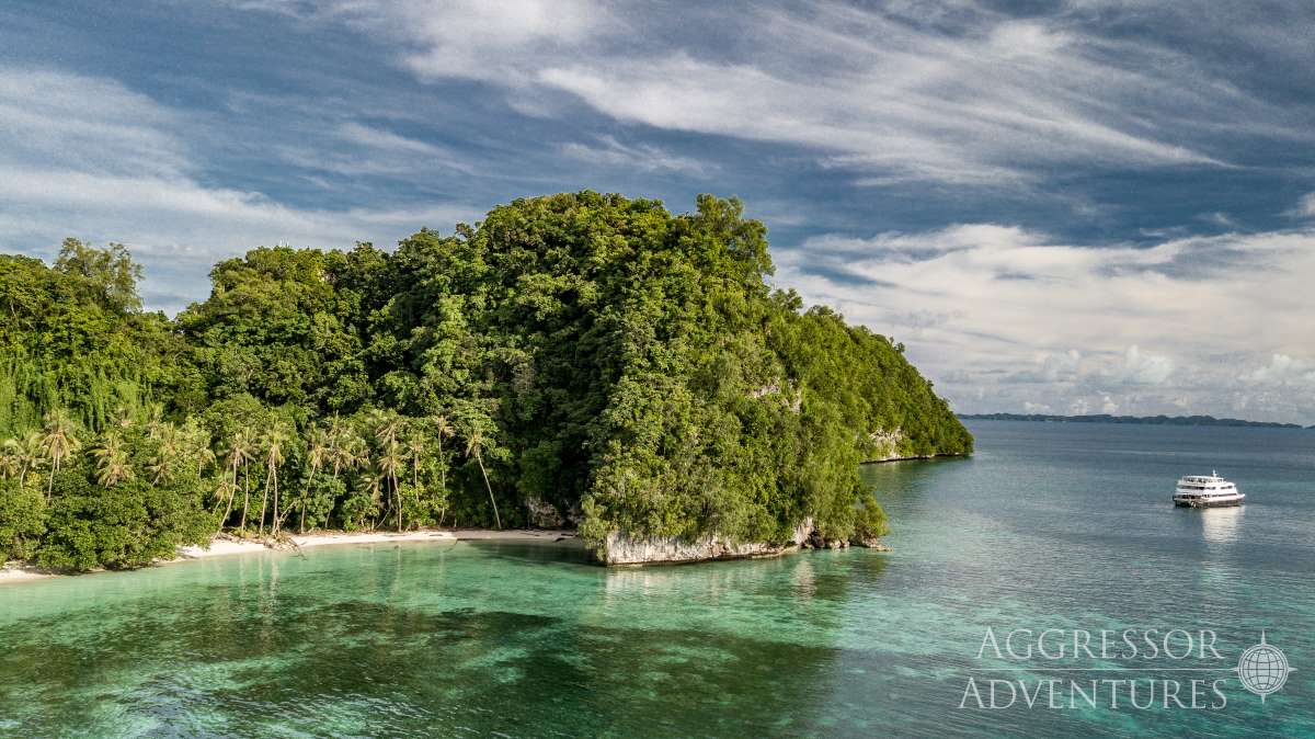 Cruises for scuba divers in Palau