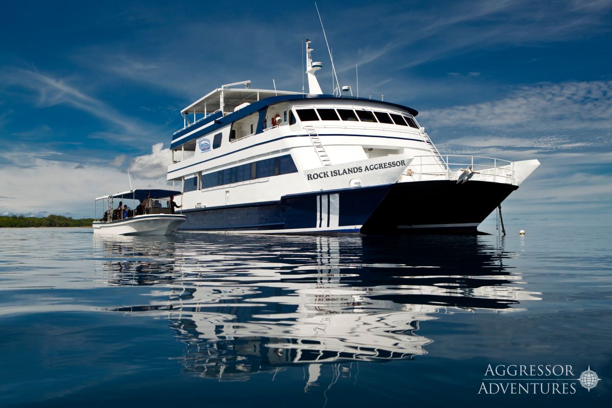 Cruises for scuba divers in Palau