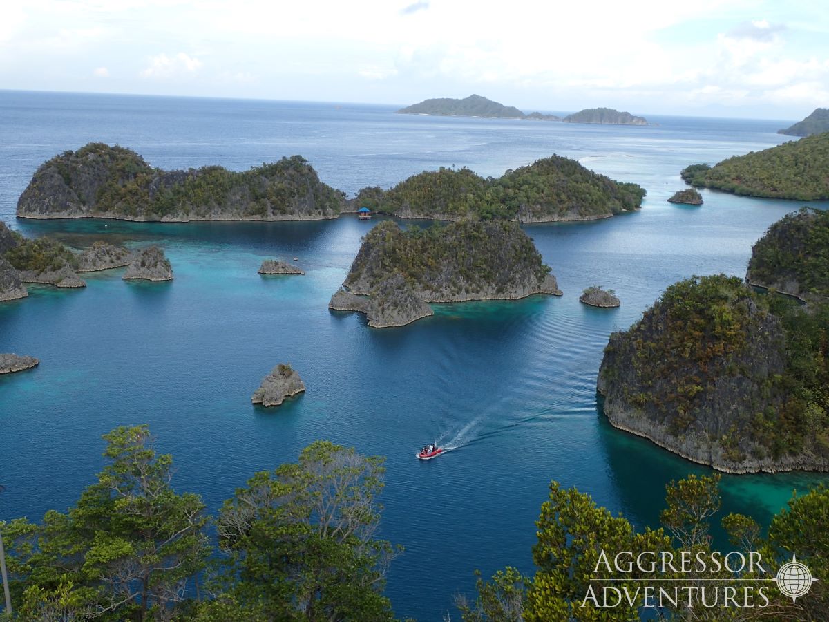 Cruises for scuba divers in Raja Ampat