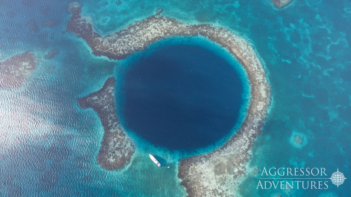 Cruises for scuba divers in Belize