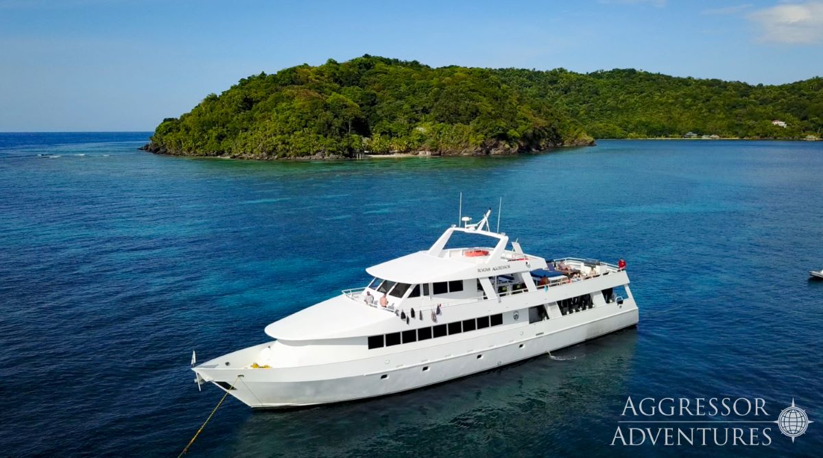 Cruises for scuba divers in Roatan