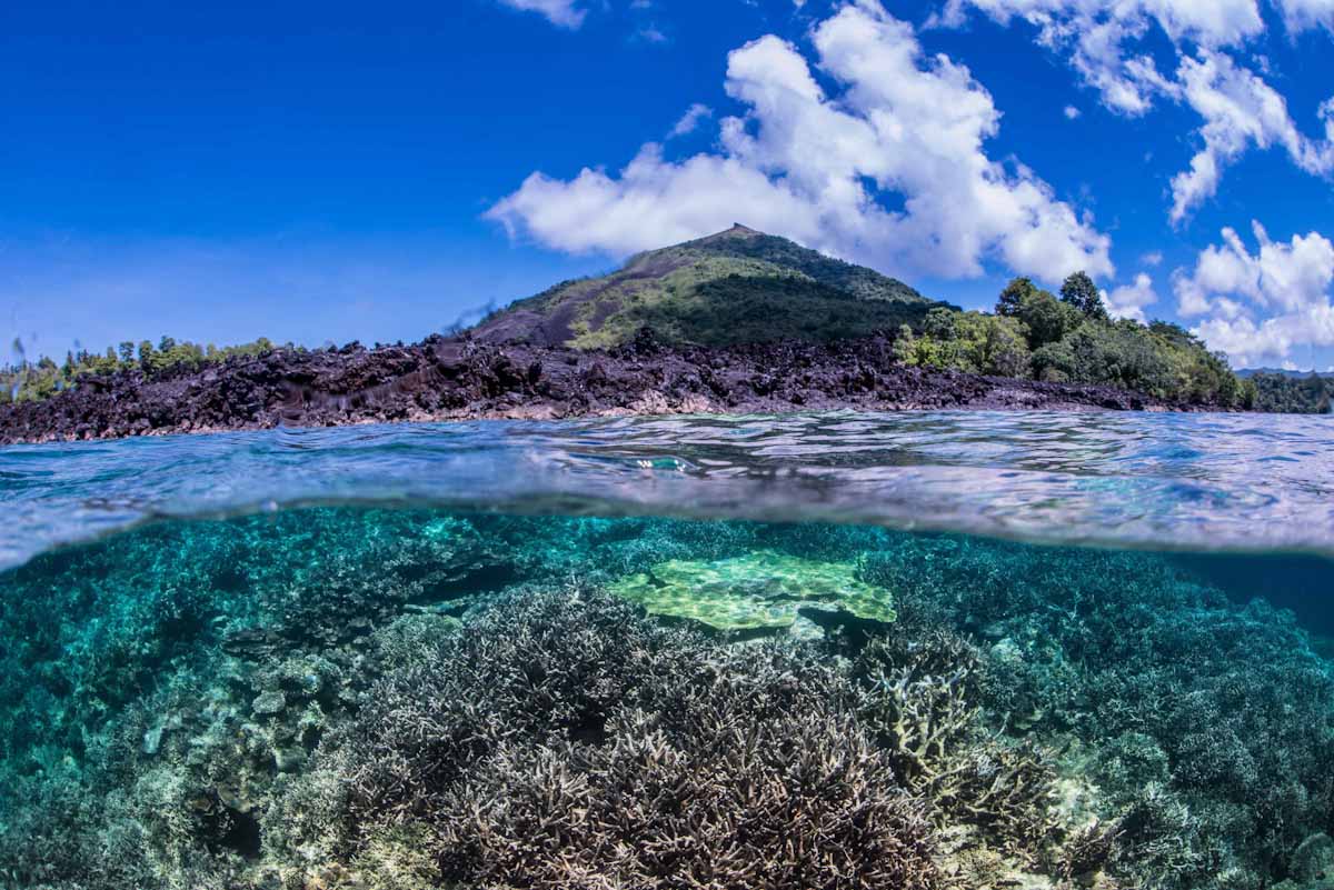 Diving Halmahera Indonesia with Ambai Liveaboard