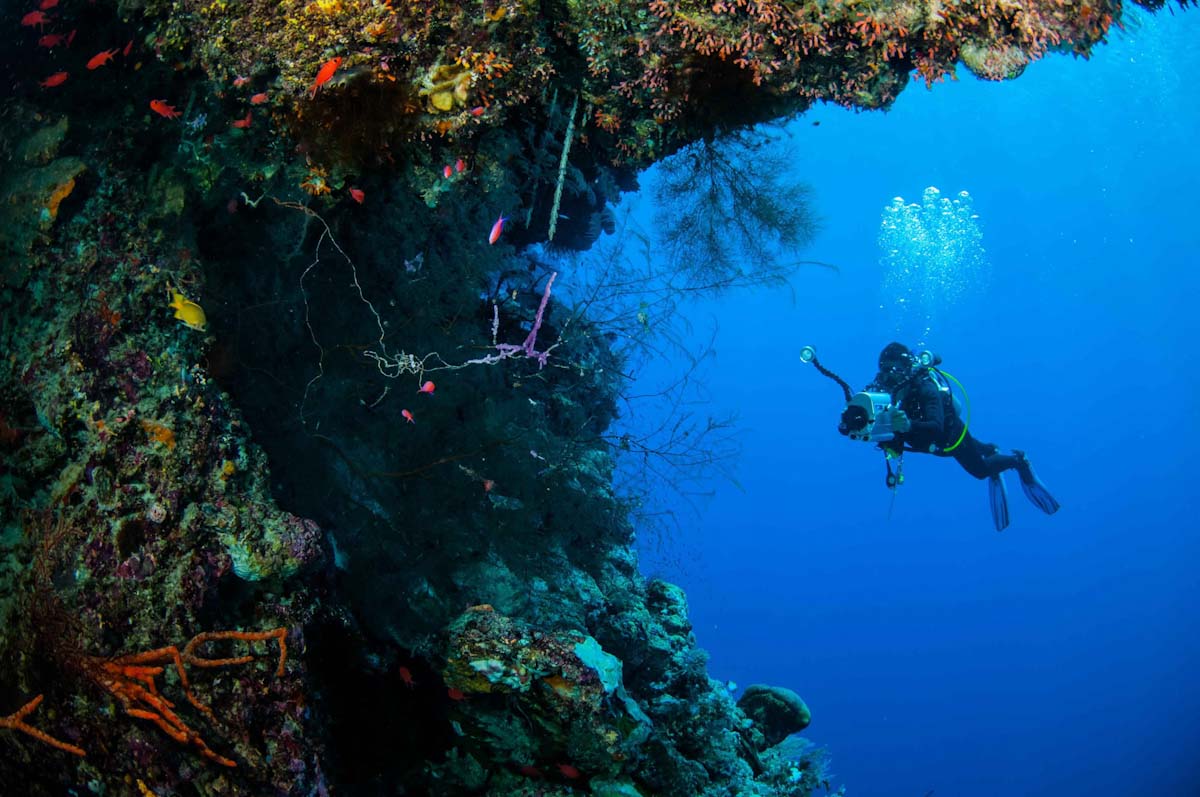 Diving Halmahera Indonesia with Ambai Liveaboard