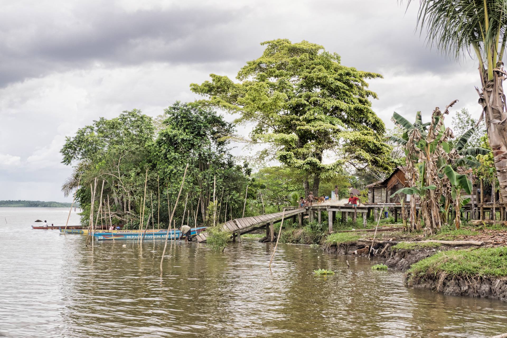 Asmat houses built on stilts