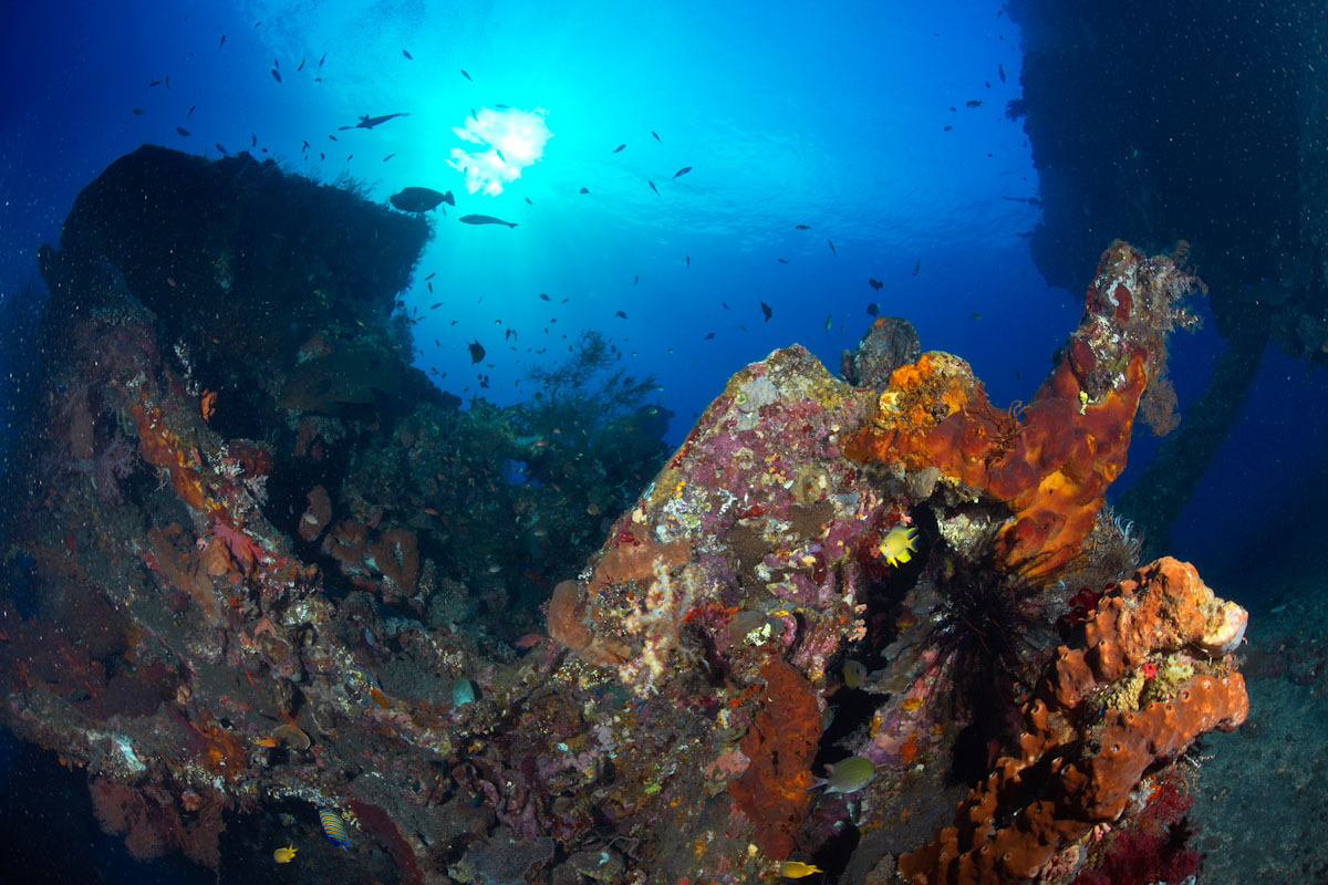 USAT Liberty Shipwreck in Tulamben, Bali