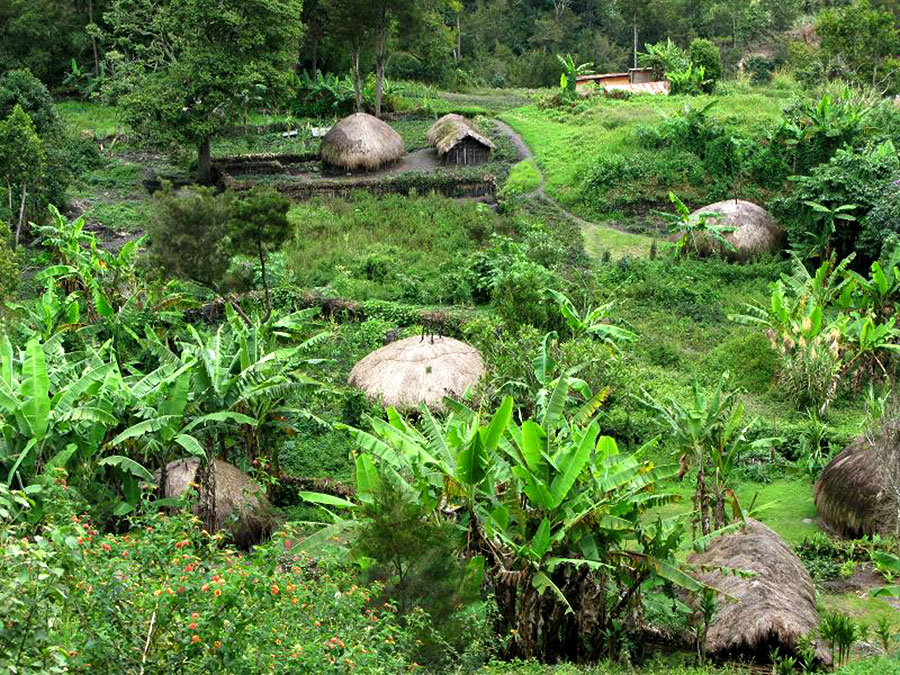 Baliem Valley village