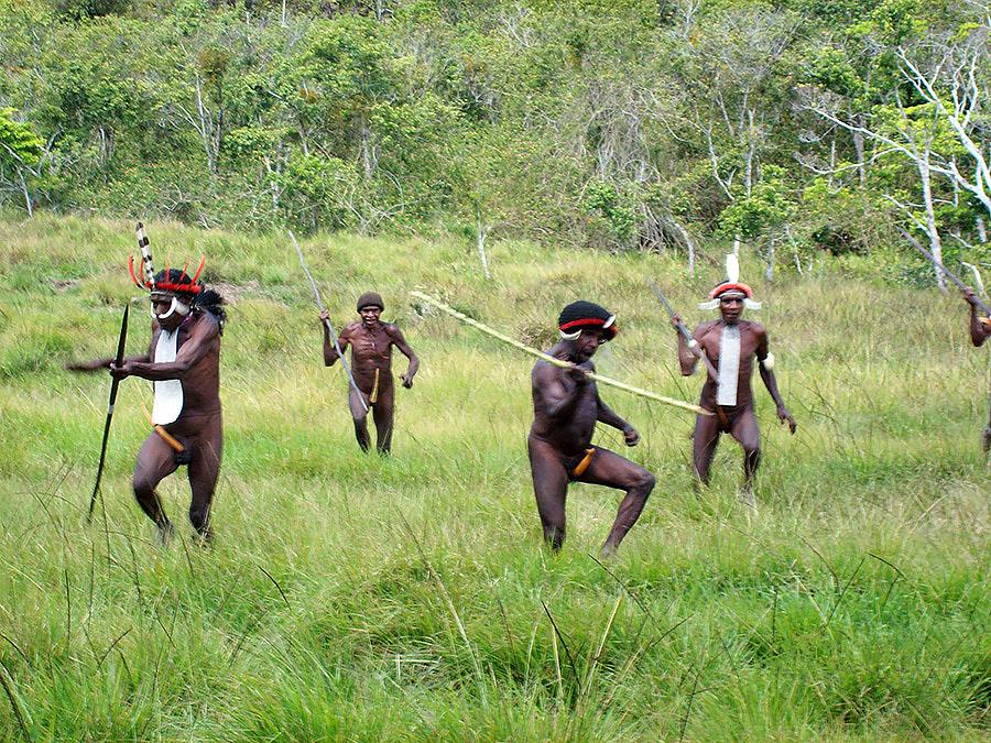 War dance in a tour at Baliem Valley