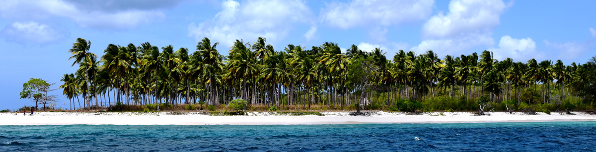 Liveaboard diving offers in Banda Islands