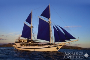 Aggressor Fleet | Cruising Indonesia | Gli Specialisti del Liveaboard e Viaggi Sub