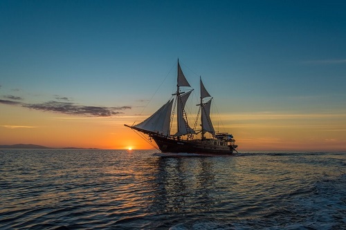 Carpe Diem in Raja Ampat