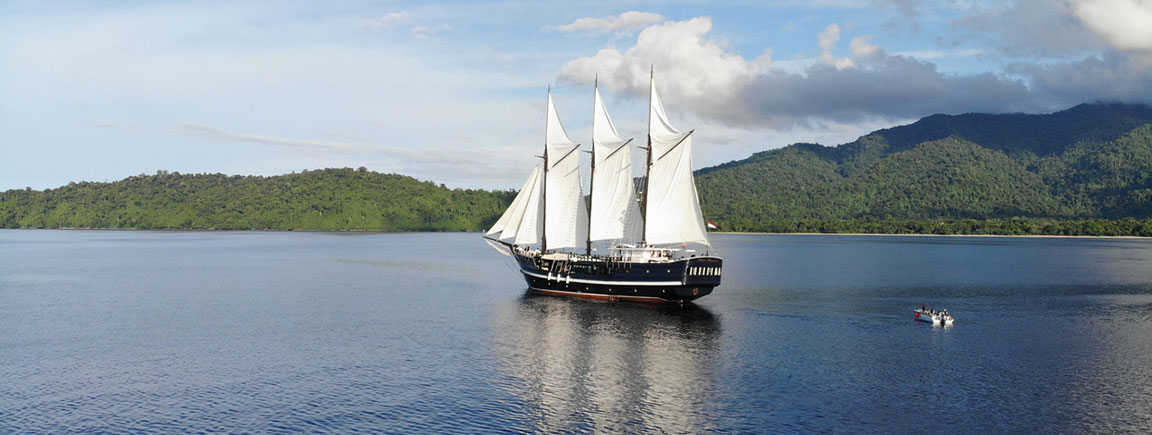 Dewi Nusantara in Cendrawasih Bay