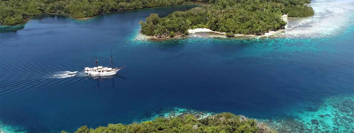 Ondina Liveaboard in Cendrawasih Bay