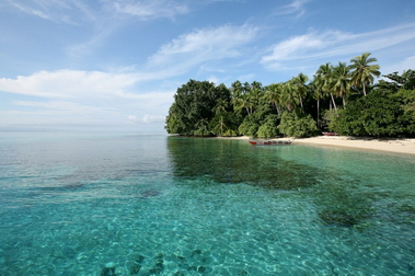 Cendrawasih_Bay_Paradise