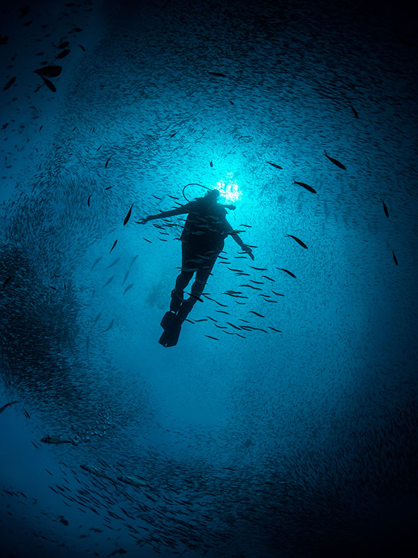 Diver inside a school of fish in Raja Ampat