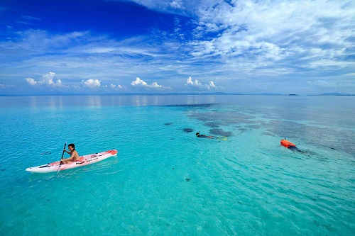 Snorkeling at Cove Eco Resort in Raja Ampat