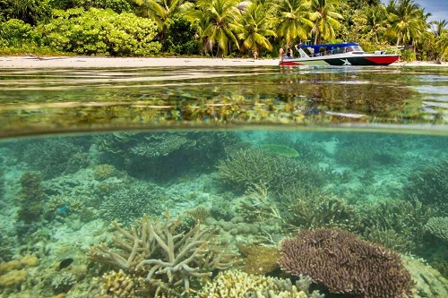 Diving at Cove Eco Resort in Raja Ampat