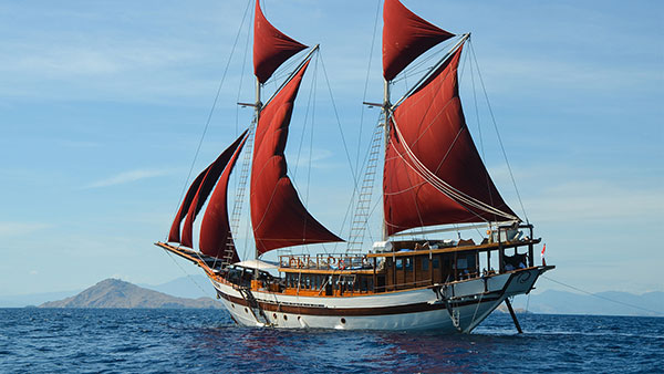 Tiare Cruise the liveaboard built by 一分钟历史记录查询下载·Cruising Indonesia