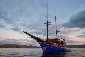 Ilike Liveaboard | Cruising Indonesia | Gli Specialisti del Liveaboard e Viaggi Sub