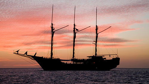 Dewi Nusantara liveaboard Indonesia