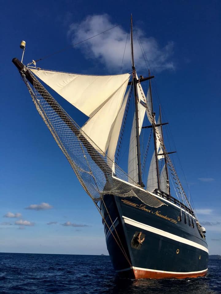 Cruises for divers on Dewi Nusantara liveaboard