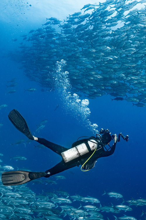 Liveaboard diving and snorkeling