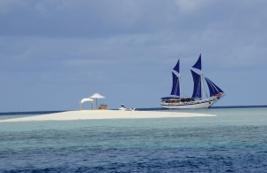 Siren Fleet | Cruising Indonesia | Gli Specialisti del Liveaboard e Viaggi Sub