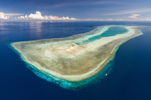 Tubbataha Reef | Cruising Indonesia | Gli Specialisti del Liveaboard e Viaggi Sub