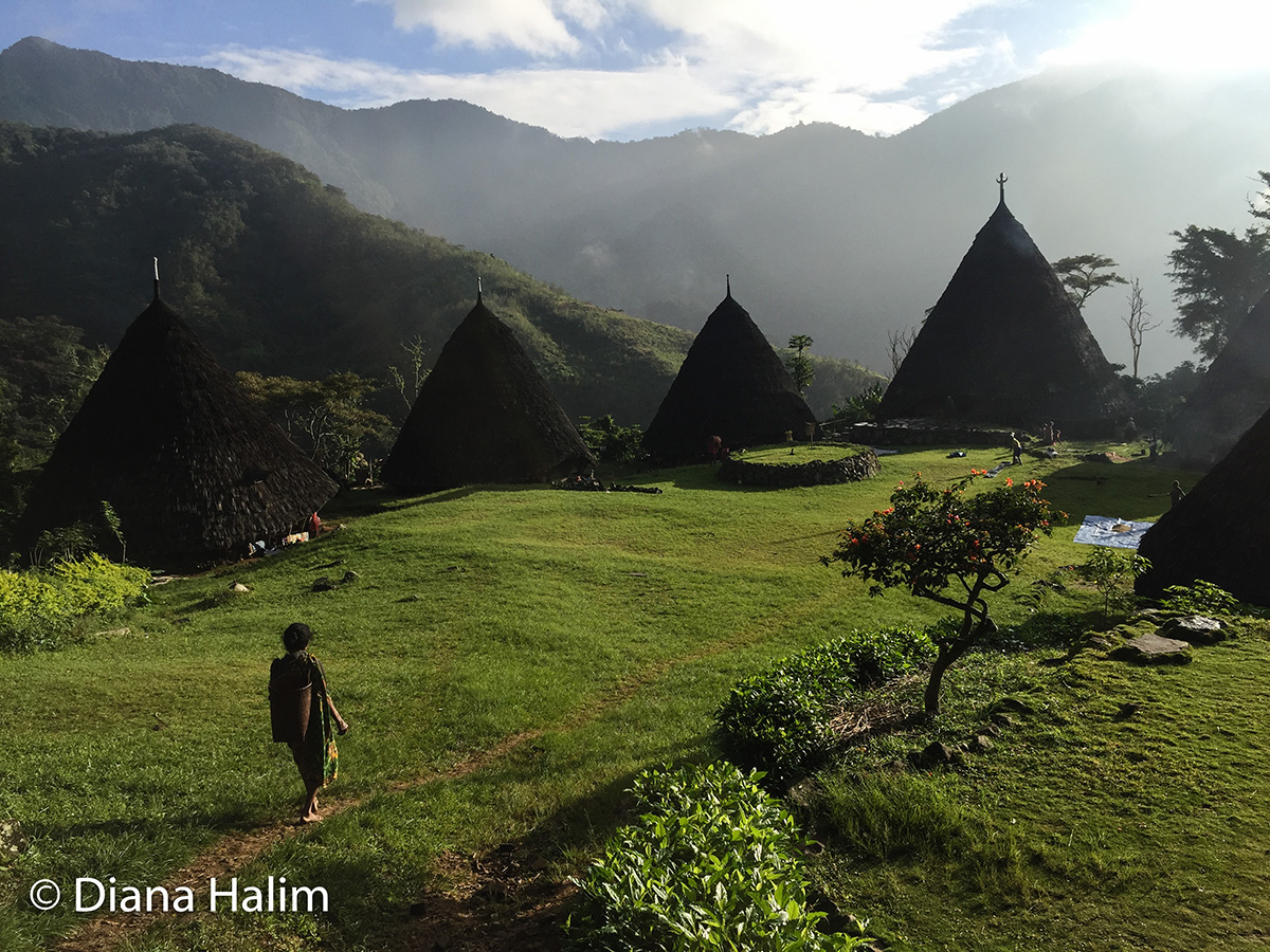 Wae Rebo woman arriving to her village