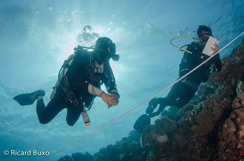 crucero_de_buceo_en_indonesia_con_cruising_indonesia