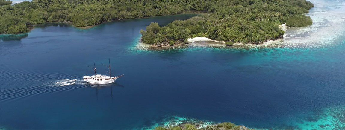 Cruises for divers in Halmahera