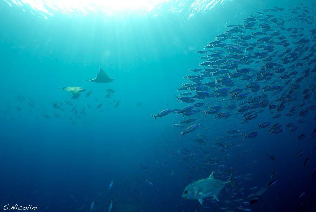 Castle Rock in Komodo National Park