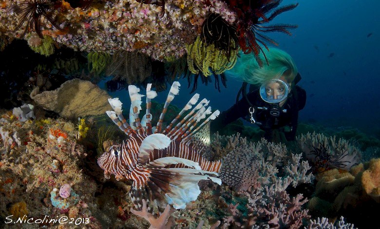 Diver and lionfish