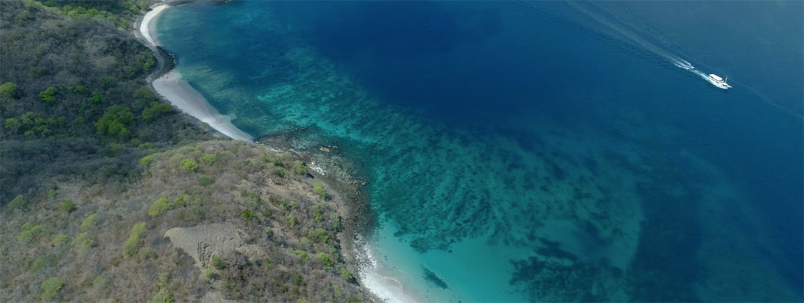 Oceanic Liveaboard in Komodo Indonesa