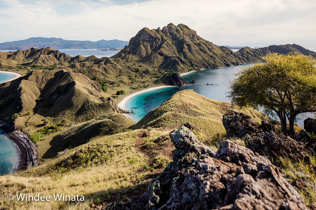 Jurassic landscape of Padar Island in Komodo National Park