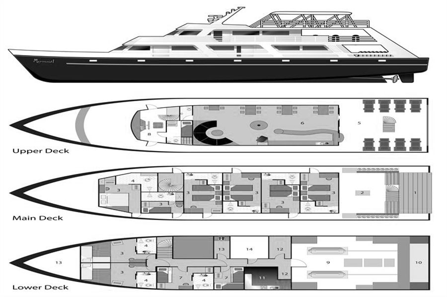 Mermaid I Liveaboard Layout