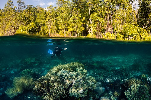 Nataraja Yacht snorkelig cruises