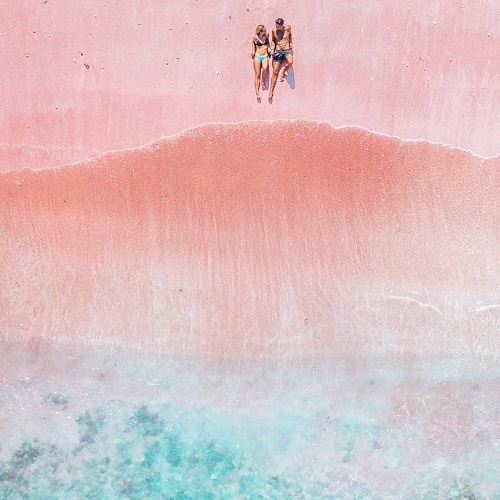 Pink beach in Komodo National Park