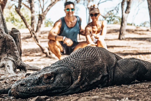 Nataraja Yacht Komodo Dragon excursion