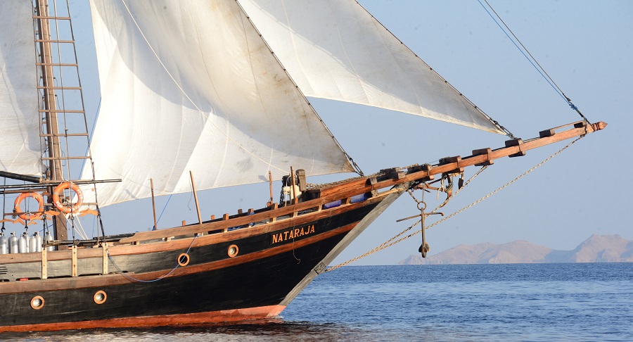 Nataraja Liveaboard cruises in Indonesia